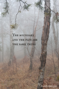 Foggy woodland with slender birch trees and pine branches framing the scene beside the words, "The boundary and the pain are the same thing."