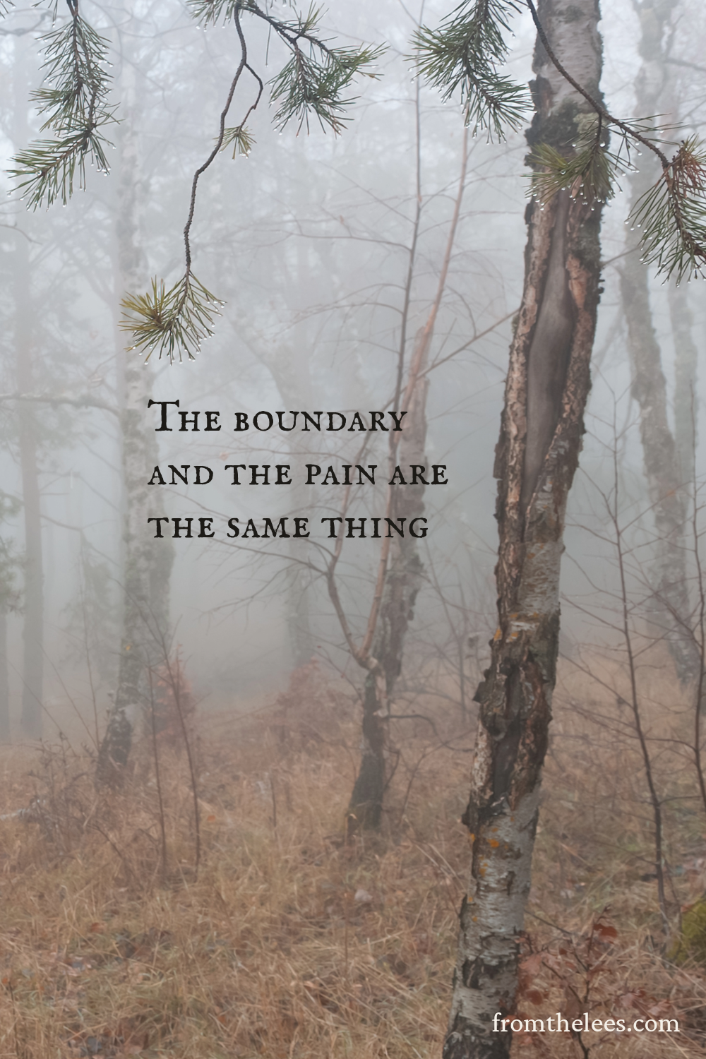 Foggy woodland with slender birch trees and pine branches framing the scene beside the words, "The boundary and the pain are the same thing."