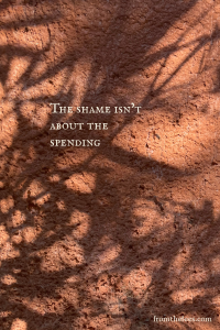 Sunlit tree shadows cast across a warm terracotta textured surface with the quote "The shame isn't about the spending."