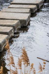 Large stepping stones crossing a gently flowing stream beside the words, "Caution is sometimes just distrust in disguise." Rippling water, weathered stone, and golden reeds create a quiet, reflective scene that evokes discernment, trust, and the courage to move forward with care.