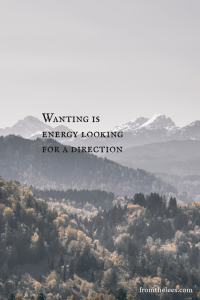 A layered mountain landscape with snow-capped peaks rising above forested hills beside the words, "Wanting is energy looking for a direction." Soft haze and muted earth tones create a spacious, contemplative scene that evokes possibility, purpose, and quiet forward movement.